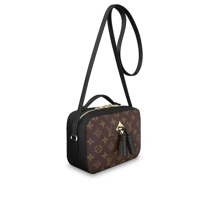 Louis Vuitton Saintonge M43555