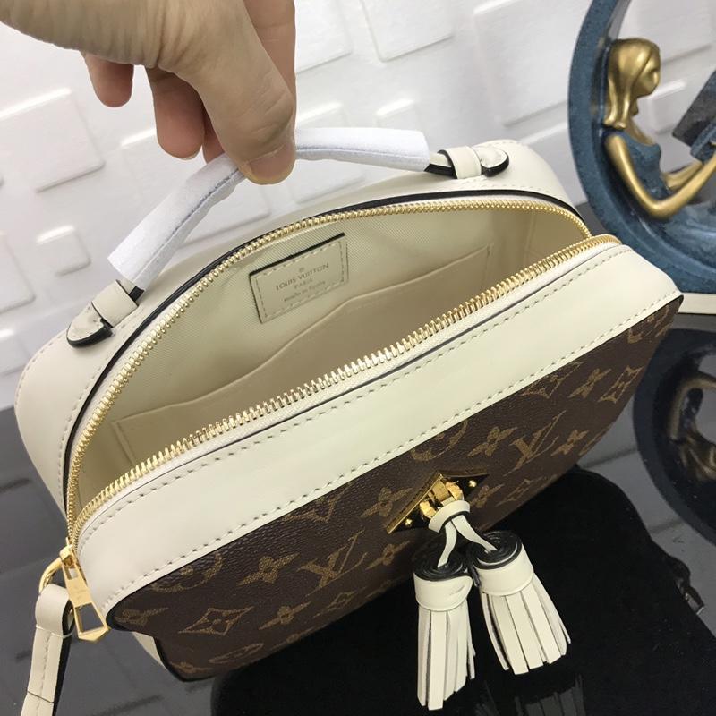 Louis Vuitton Saintonge M43559